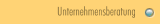 Unternehmensberatung